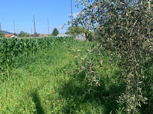 Terreno in vendita a Castelnuovo Magra, Liguria
