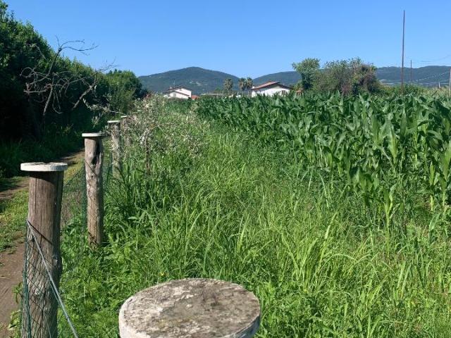 Terreno in vendita a Castelnuovo Magra, Liguria