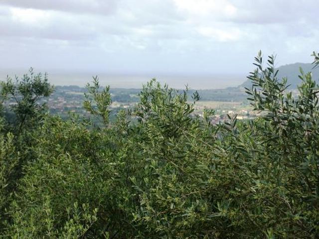 Terreno in vendita a Cerreta, Castelnuovo Magra