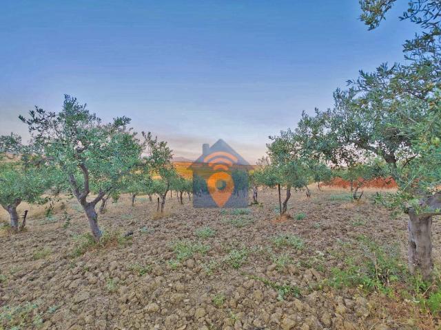 Terreno in vendita a Villaggio La Fenice, Castelvetrano