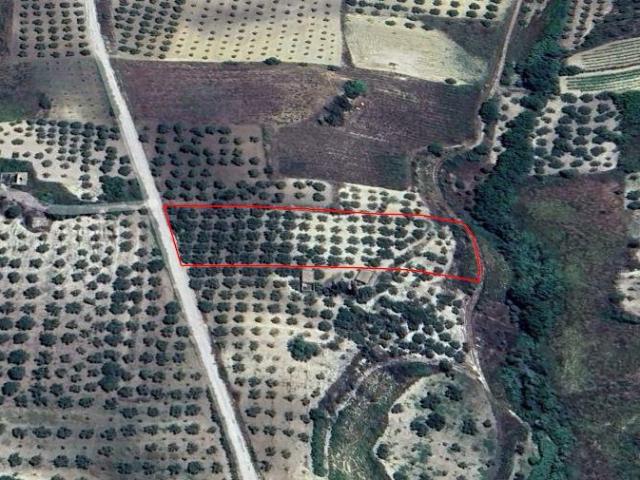 Terreno in vendita a Quartiere San Niccolò, Castelvetrano