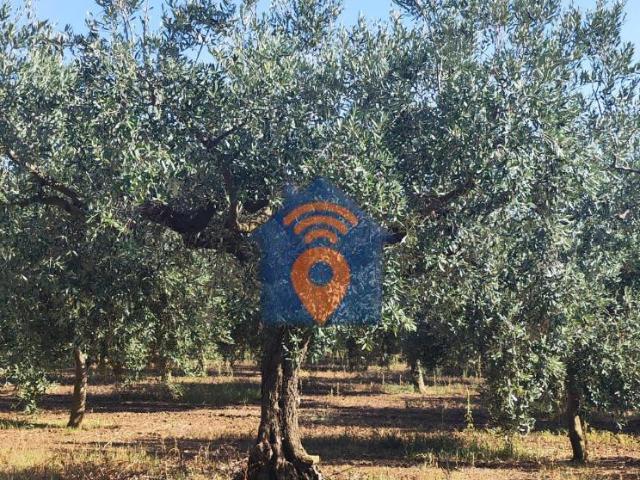 Terreno in vendita a Castelvetrano, Sicilia