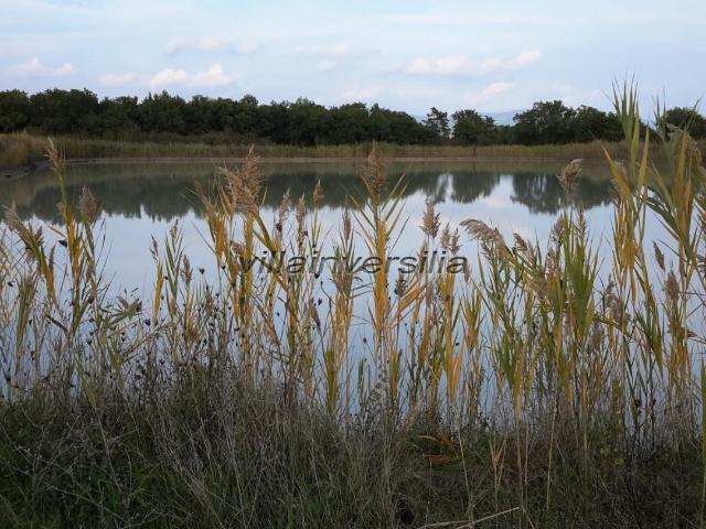 Terreno in vendita a Gioiella, Umbria