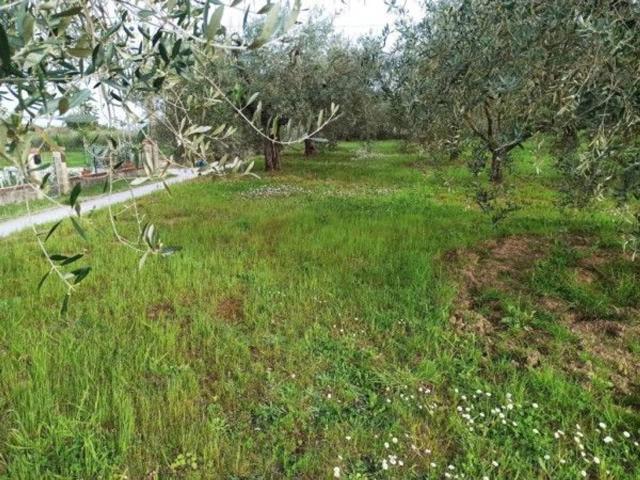 Terreno in vendita a Gioiella, Umbria