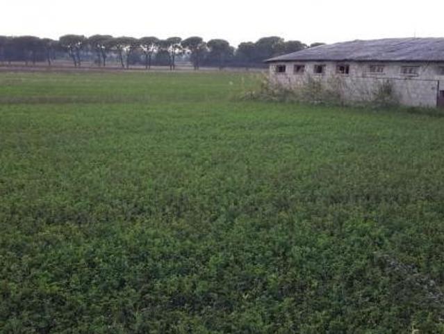 Terreno in vendita a Gioiella, Umbria