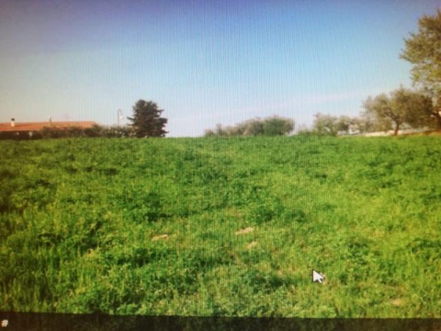 Terreno in vendita a Marche, Ascoli Piceno