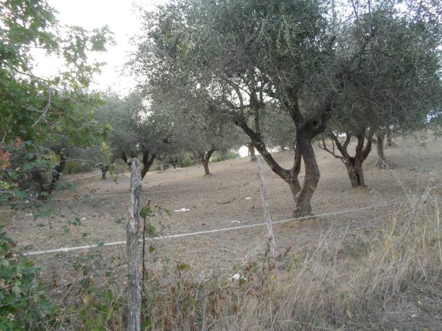 Terreno in vendita a Marche, Ascoli Piceno