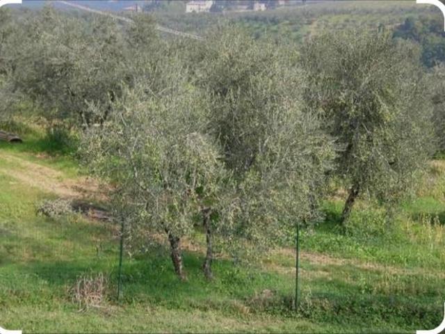 Terreno in vendita a Unione dei Comuni Circondario dell'Empolese Valdelsa, Capraia