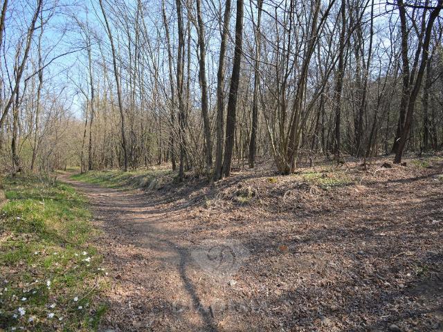 Terreno in vendita a Castronno, Lombardia