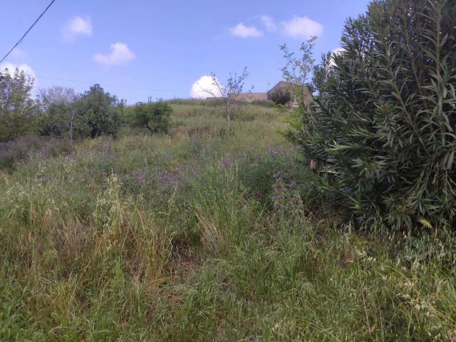 Terreno in vendita a Castroreale, Sicilia