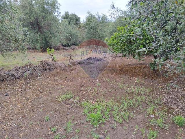 Terreno in vendita a San Giovanni Galermo-Trappeto-Cibali, Catania