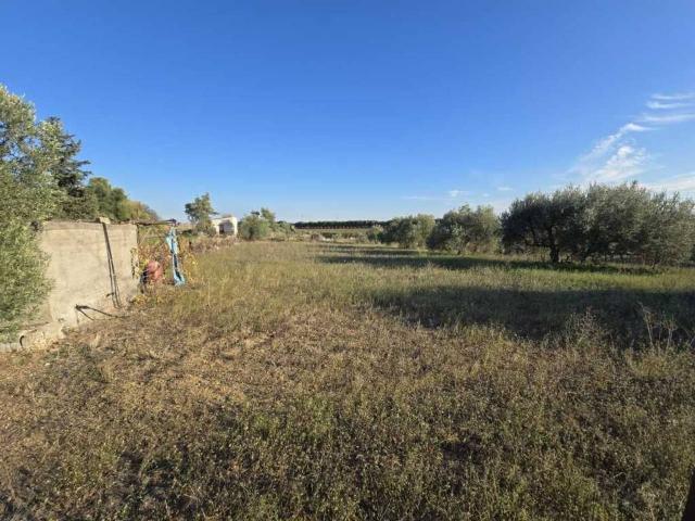 Terreno in vendita a Picanello-Ognina-Barriera-Canalicchio, Catania