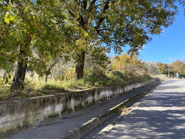 Terreno in vendita a Siano, Calabria