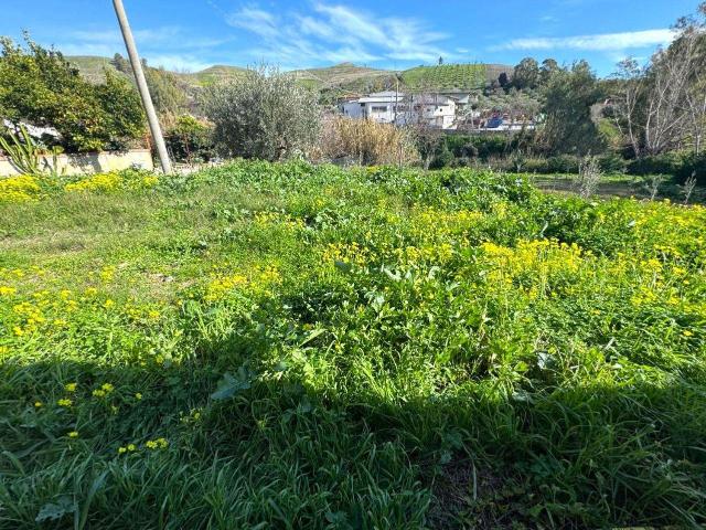 Terreno in vendita a Cuculera Nobile, Calabria