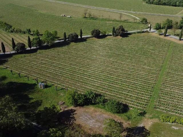 Terreno in vendita a Cazzago San Martino, Lombardia