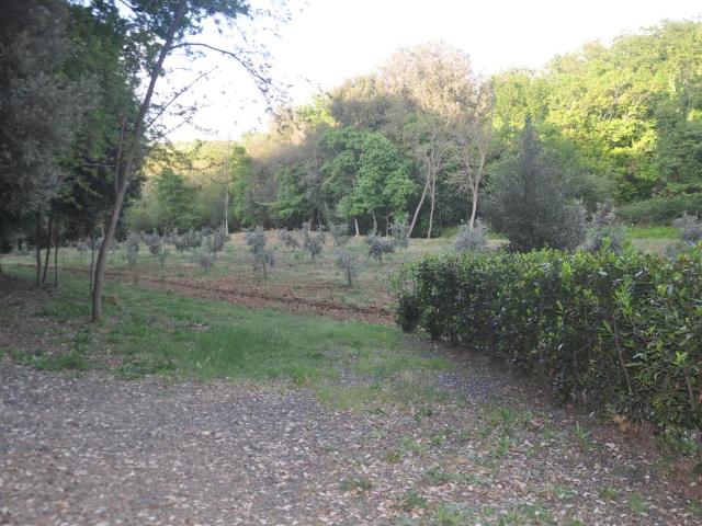 Terreno in vendita a Cecina, Toscana