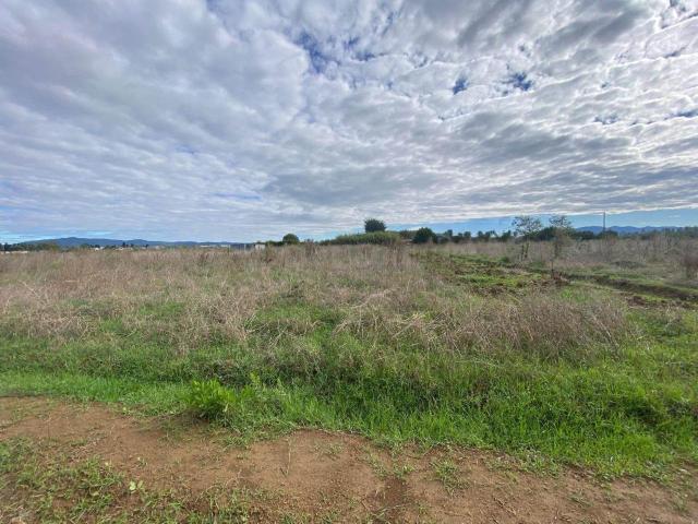 Terreno in vendita a Marina di Cecina, Cecina