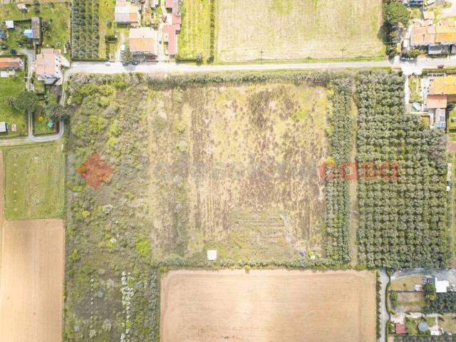 Terreno in vendita a Cecina, Toscana