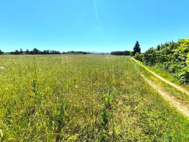 Terreno in vendita a Cecina, Toscana