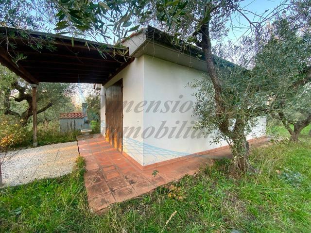 Terreno in vendita a Cecina, Toscana