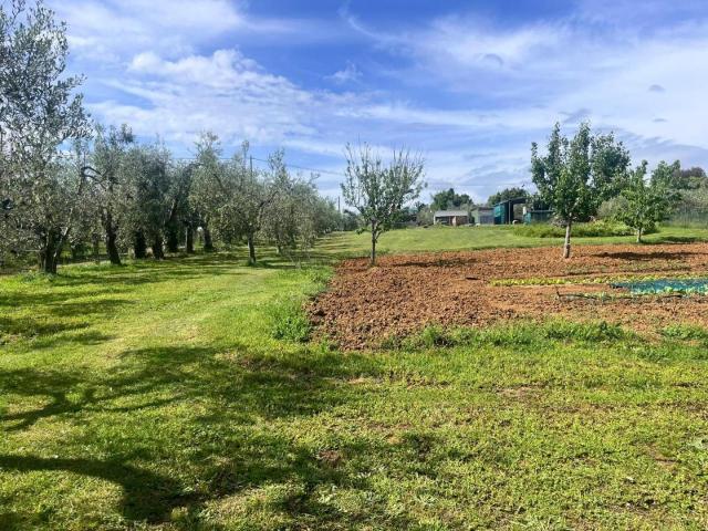 Terreno in vendita a Cecina, Toscana