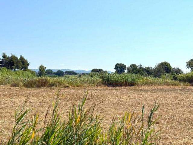 Terreno in vendita a Cecina, Toscana