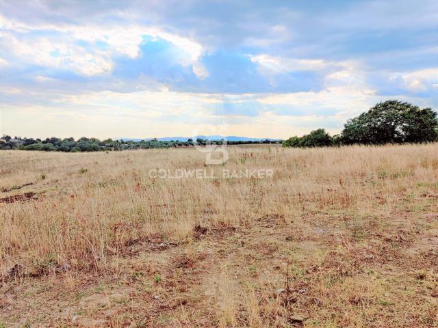 Terreno in vendita a Cellere, Lazio