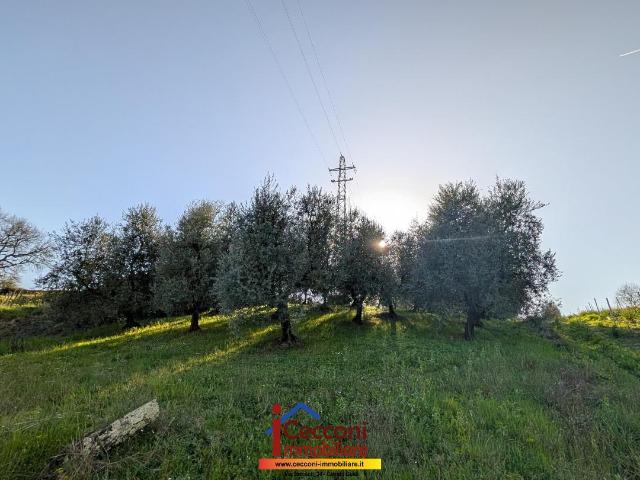 Terreno in vendita a Unione dei Comuni Circondario dell'Empolese Valdelsa, Cerreto Guidi