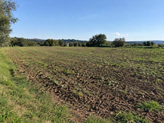 Terreno in vendita a Cerreto Guidi, Firenze