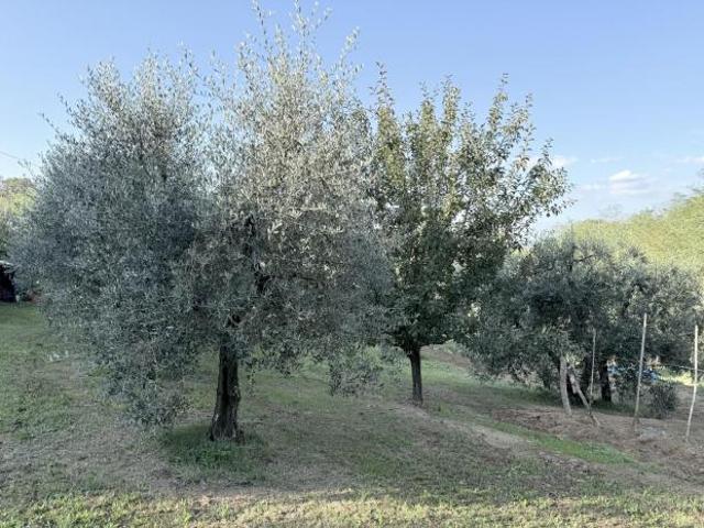 Terreno in vendita a Santa Maria a Monte, Pisa