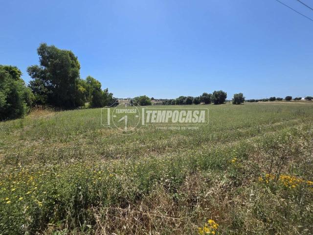 Terreno in vendita a Roma Capitale, Lazio