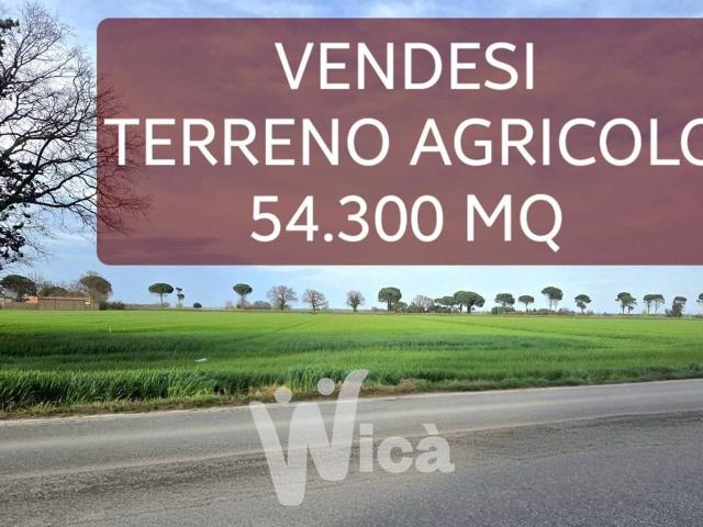 Terreno in vendita a Castiglione di Cervia, Cervia