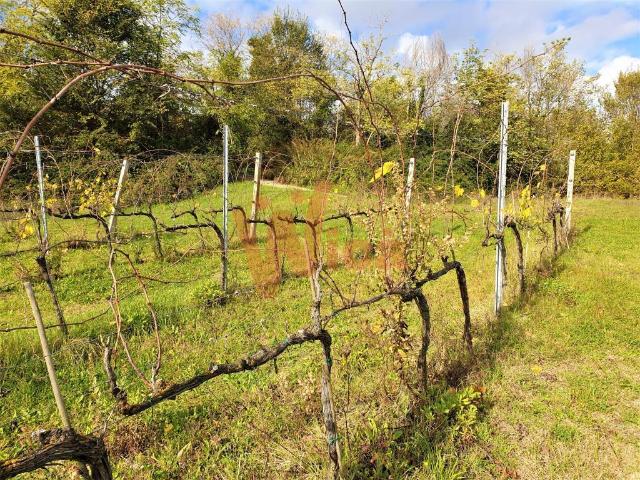 Terreno in vendita a Unione dei comuni Valle del Savio, Cesenà