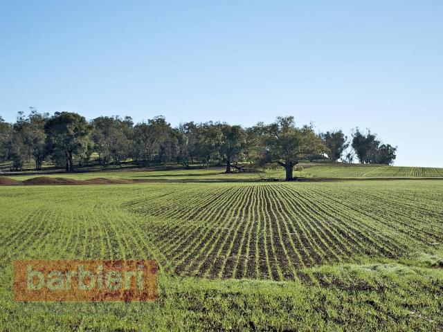 Terreno in vendita a Unione dei comuni Valle del Savio, Cesenà