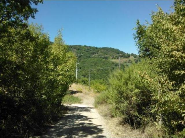 Terreno in vendita a Chianni, Toscana