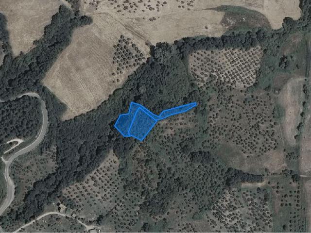 Terreno in vendita a Casciana Terme Lari, Collemontanino