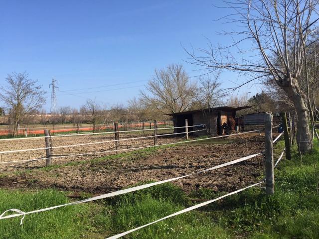 Terreno in vendita a Marche, Ancona