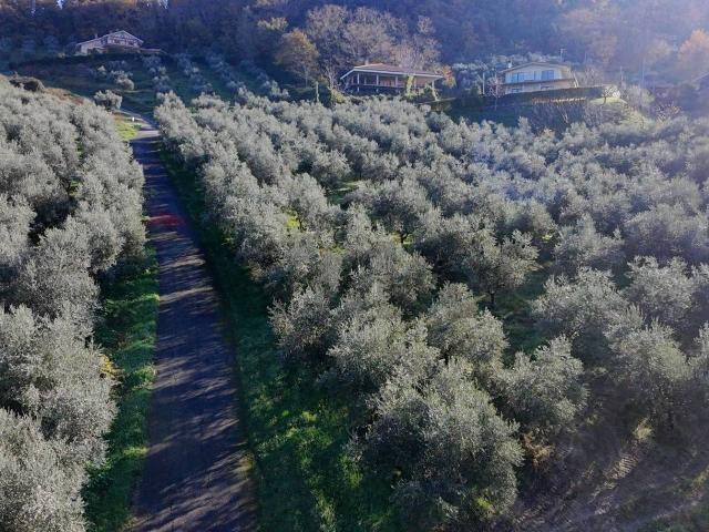 Terreno in vendita a Chieti, Abruzzo