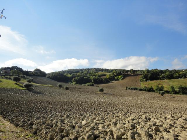 Terreno in vendita a Marche, Macerata