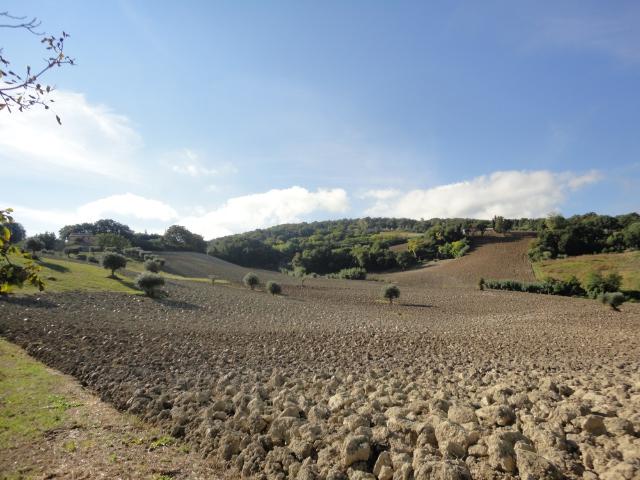 Terreno in vendita a Marche, Macerata