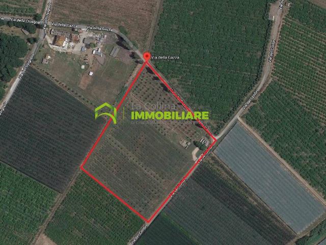Terreno in vendita a Cisterna Di Latina, Lazio