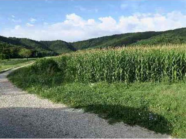Terreno in vendita a Cividale Del Friuli, Friuli-Venezia Giulia