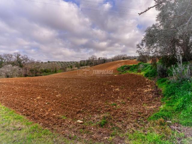 Terreno in vendita a Marche, Macerata