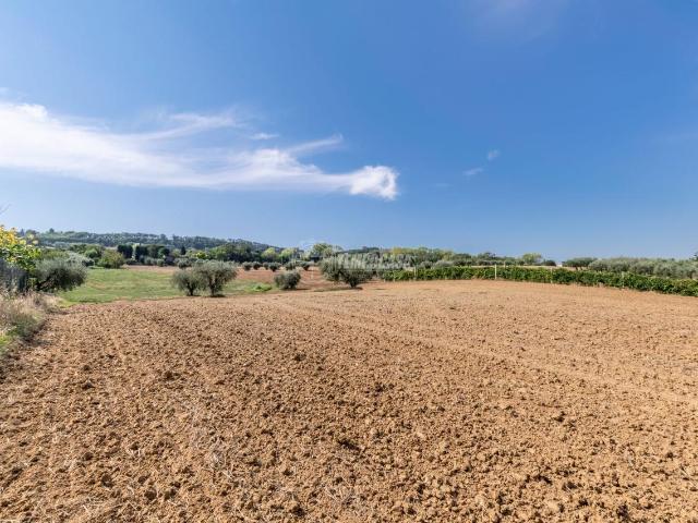 Terreno in vendita a Marche, Macerata