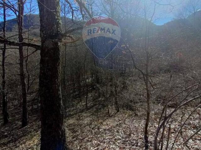 Terreno in vendita a Civitella Alfedena, Abruzzo