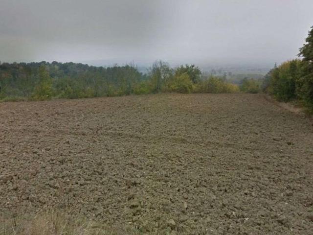 Terreno in vendita a Collazzone, Umbria