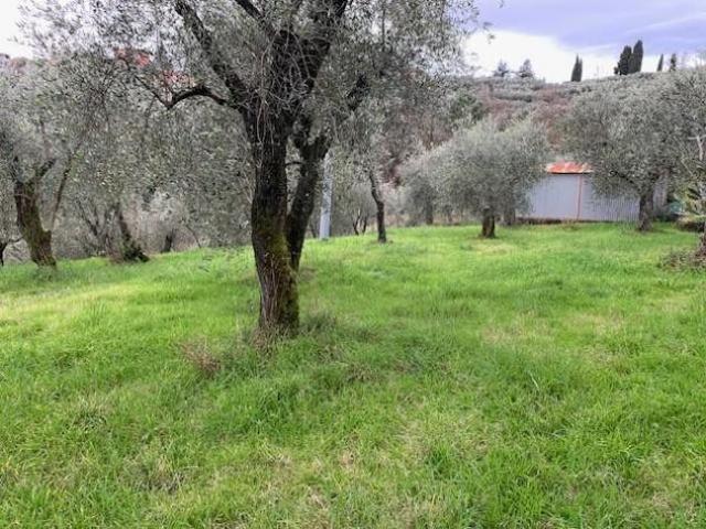 Terreno in vendita a Buggiano, Toscana