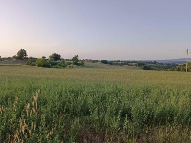 Terreno in vendita a Colle Di Val D'elsa, Toscana