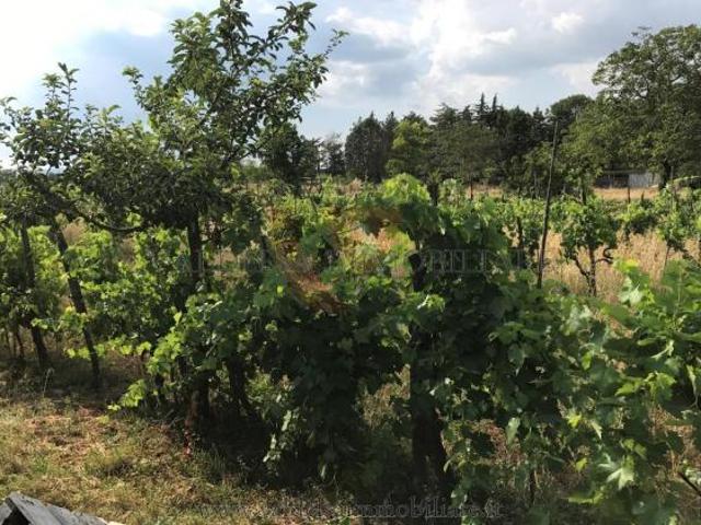 Terreno in vendita a Colle Di Val D'elsa, Toscana