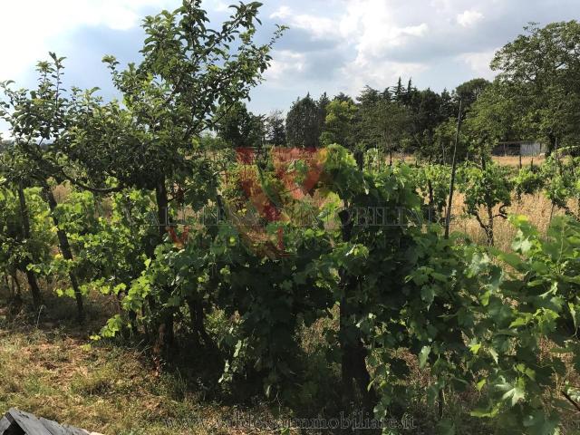 Terreno in vendita a Campiglia dei Foci, Colle Di Val D'elsa